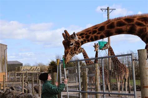 Folly Farm Adventure Park And Zoo Review Emily And Indiana