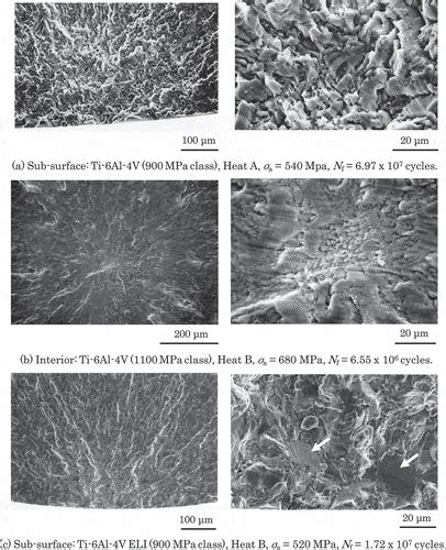 Full Article Fatigue Properties Of Titanium Alloys Disclosed In Nims