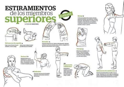 Estiramiento Miembros Superiores Healthy Fitness Healthy Tips Gym