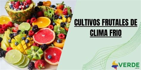 Cultivos Frutales De Clima Frio Colombia Verde