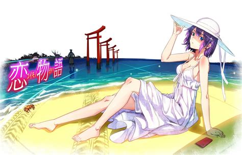 Wallpaper Illustration Monogatari Series Anime Girls Cartoon