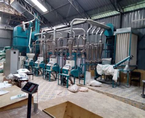 High Efficiency Mealie Meal Corn Mill Tpd Wheat Flour Mill Line