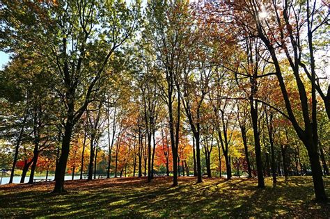 Mount Royal Park Montreal All You Need To Know BEFORE You Go