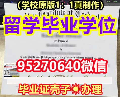 咨询斯特林大学毕业证官方原版 Ppt