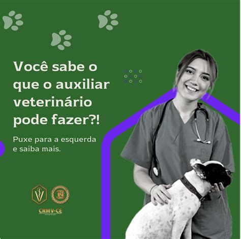 Conhe A As Fun Es Do Auxiliar De Veterin Rio