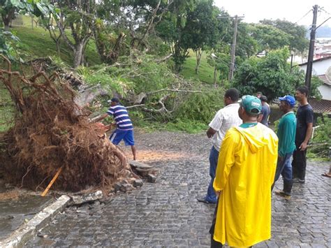 Ubaitaba Queda De Rvore Deixa Prefeitura Sem Energia El Trica E Fecha