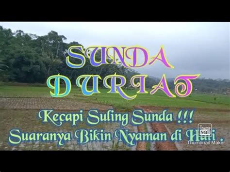 Petikan Kecapi Dan Suara Suling Sunda Merdu Bikin Nyaman Dan Betah