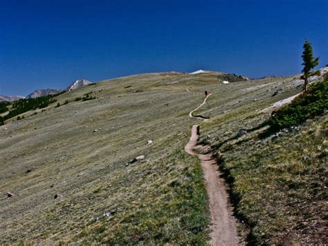 Continental Divide Trail -- Salida, Colorado | Martinez, CA Patch