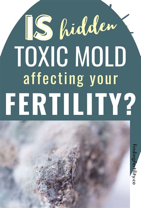 How Toxic Mold Might Be Impacting Your Fertility Finding Fertility Mold Exposure Fertility