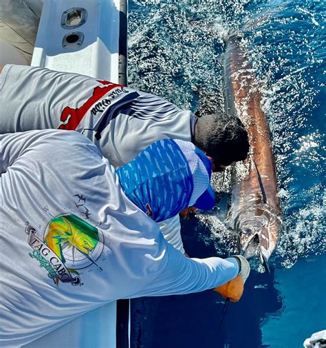 Offshore Fishing In Quepos Costa Rica Tag Cabo Sportfishing