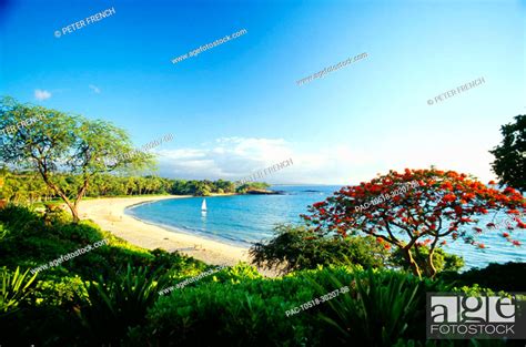 Hawaii, Big Island, Mauna Kea Beach Resort, Overview of Kauna'oa beach ...