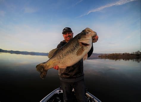 Lipless Crankbaits Year Round Tips To Catch Bigger Bass Bass Lipless