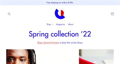 15 Best Lingerie Swimwear And Bikini Shopify Themes 2025 Envato Tuts