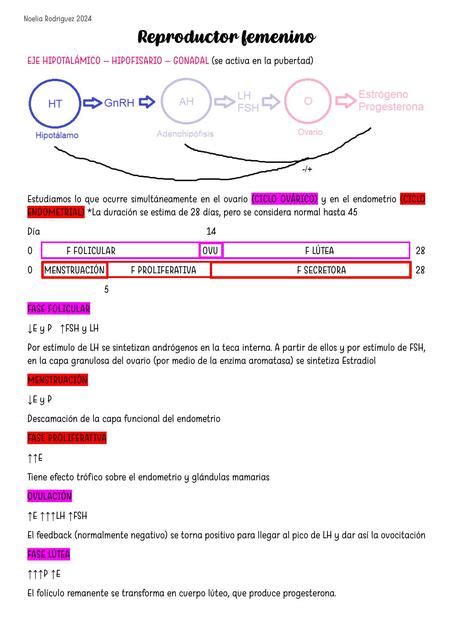 Sistema Reproductor Femenino Y Masculino Noelia Udocz