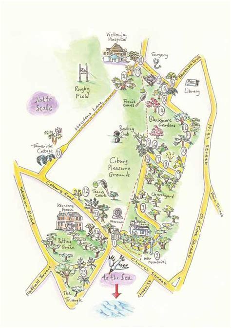 Sidmouth Town Map 2023 by Tina Veater - Issuu