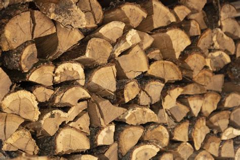 Texture Of The Background Image Of Chopped Oak Firewood Stacked In A