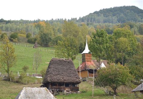 Controale Sanitar Veterinare N Zonele Turistice Din Jude Ul Alba