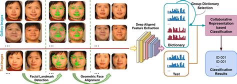 Deep Aligned Feature Extraction For Collaborative Representation Based Face Classification With