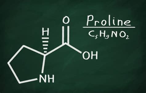 Proline Another Valuable Amino Acid