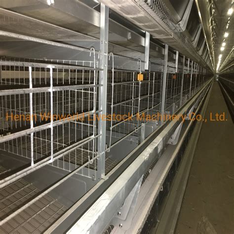 Automatic Laying Henegg Layer Battery H Type Chicken Cages System