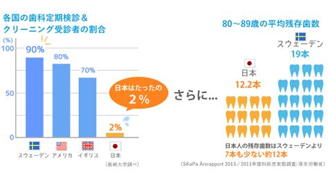 歯のメンテナンス予防なら土岐市の歯科歯医者 みきえだ歯科へ