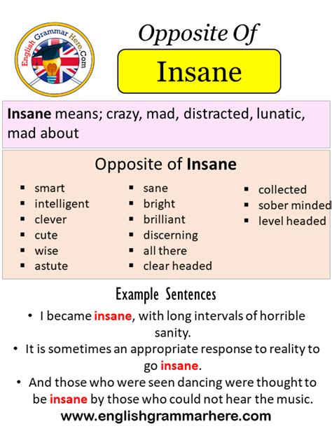 Opposite Of Insane, Antonyms of Insane, Meaning and Example Sentences ...