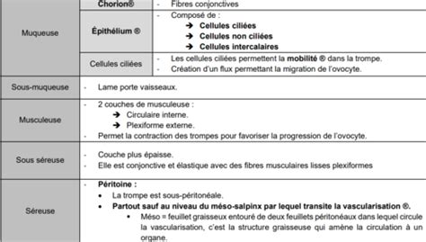 Trompes Ovaires Cartes Quizlet