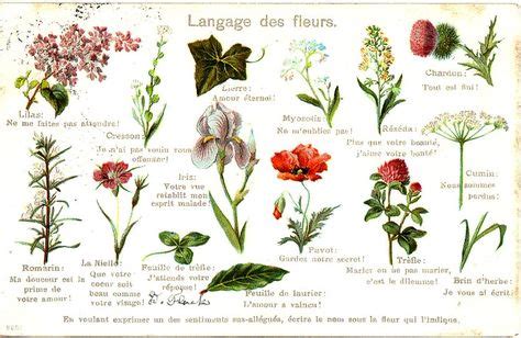 Le Langage Secret Des Fleurs Langage Des Fleurs Fleurs Et