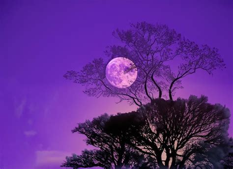 Premium AI Image | Purple full moon background