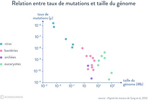 Cours SVT Terminale France La conservation des génomes stabilité