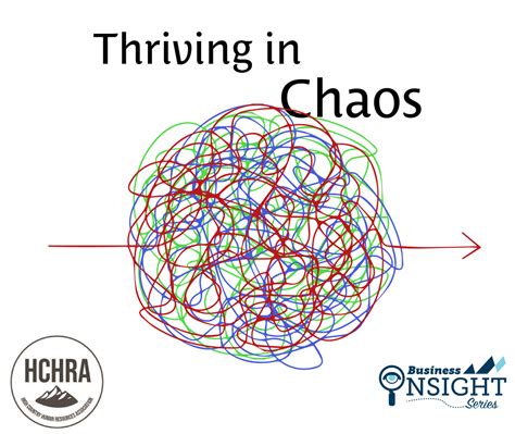 Business Insight Series: Thriving in Chaos | VVP Events Calendar
