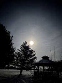 Moonlight Walk Richland Area Community Center