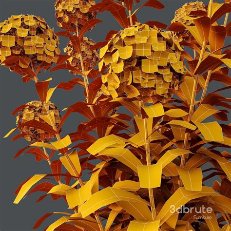 HQ Plants Smooth Wild Hydrangea Arborescens Annabelle 3d Model Buy