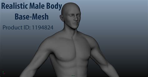 男性身体 基础网格 3D模型 35 fbx ma Free3D