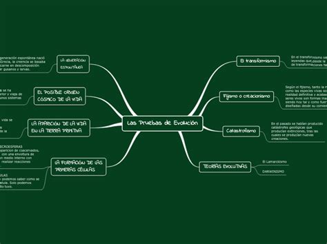 Las Pruebas De Evoluci N Mind Map