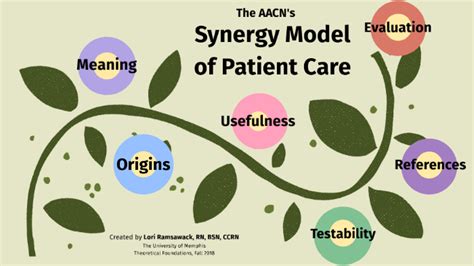 The Synergy Model Of Patient Care By Lori Ramsawack On Prezi