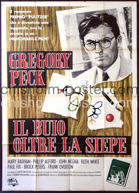 Il Buio Oltre La Siepe 2 Original Vintage Poster Chisholm Larsson