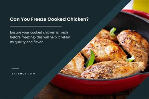 Can You Freeze Cooked Chicken