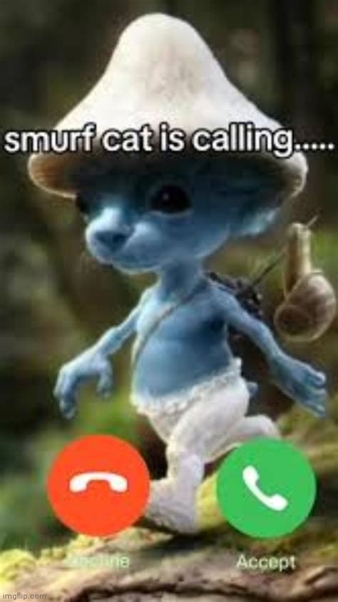 Smurfcat call Blank Template - Imgflip