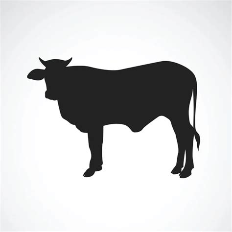 Wagyu Chilean Bull Silhouette — Stock Vector © doklevise #180522734