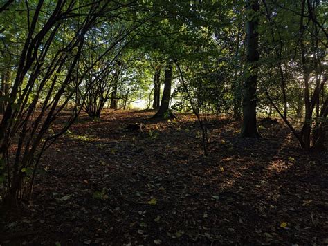 Autumn Morning Bob Harvey Geograph Britain And Ireland