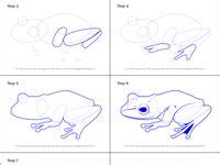 100+ Best DRAW AMPHIBIANS images in 2020 | draw, drawings, drawing tutorial