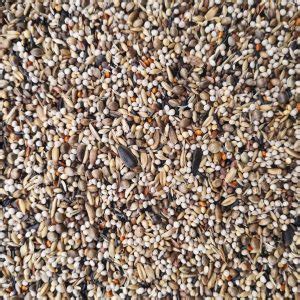 Specialist Seed Mixes Archives Planet Aviary