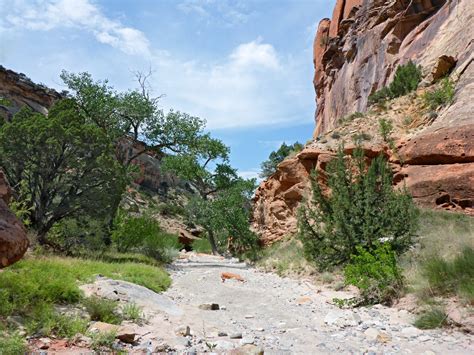 Echo Canyon Trail Colorado National Monument Colorado