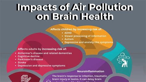 Air Pollution Linked To Higher Risk Of Neurological Disorders U S Study