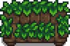 junimo couch stardew valley wiki