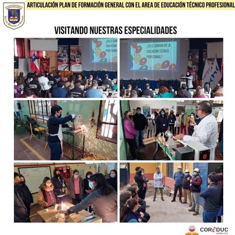 Liceo Víctor Bezanilla Salinas Actividades Articulación Perfil De