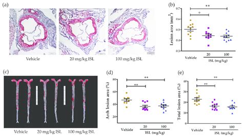 Atherosclerotic Lesion Areas In The Aortic Root And Aorta En Face Of