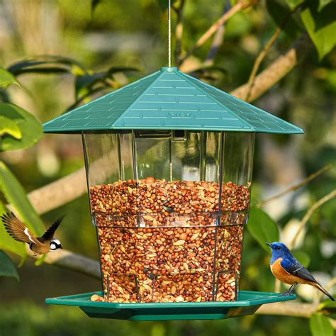 10 Best Bird Feeders on Sale: Top Picks for Your Feathered Friends - Hummingbirds Plus