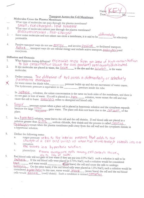 Anatomy And Physiology Coloring Workbook Answer Key Chapter 3 Cells And